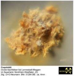 Coquimbit - Grube Sachtleben bei Lennestadt-Meggen, Sauerland, Nordrhein-Westfalen, (D) - Slg. D+O.Neumann BNr. 01284.JPG